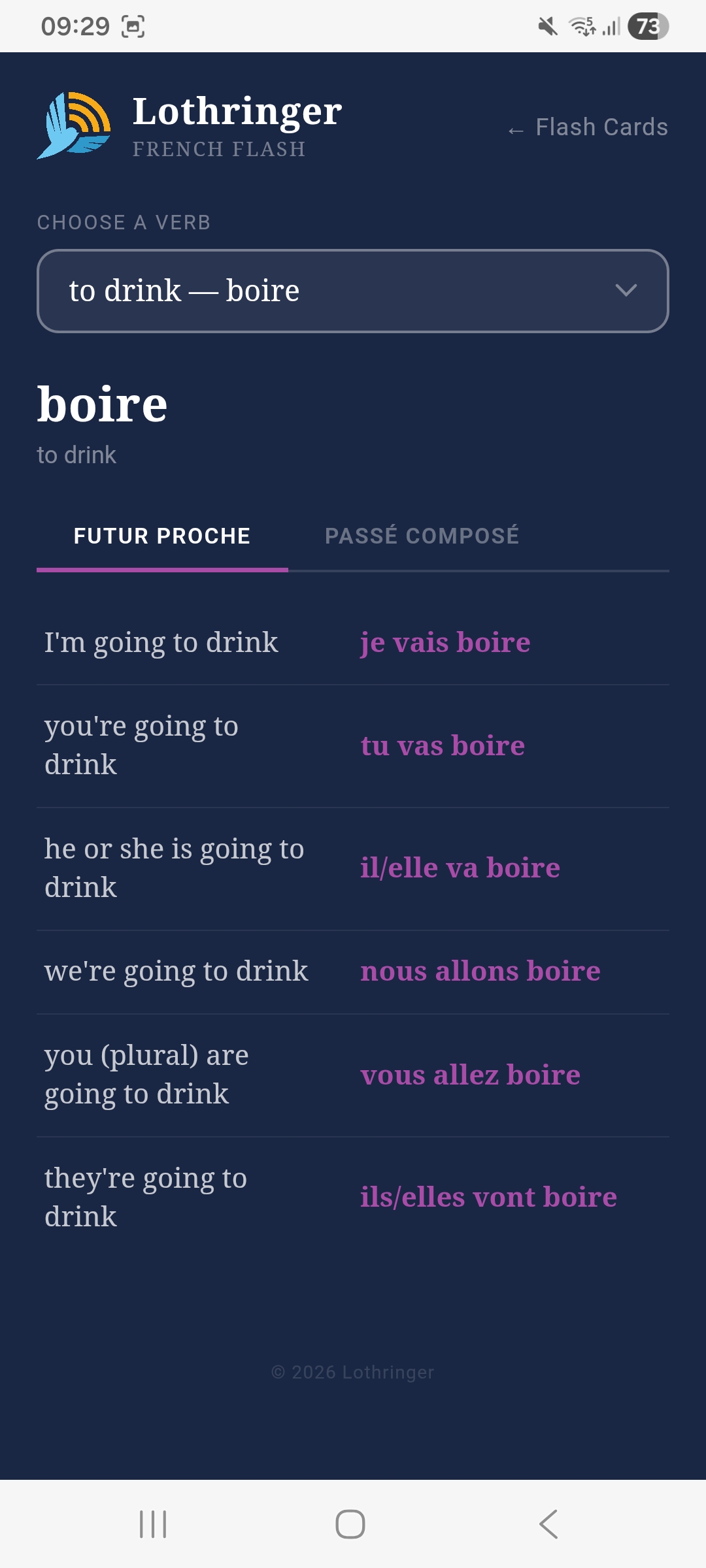 French Verbs — Progress